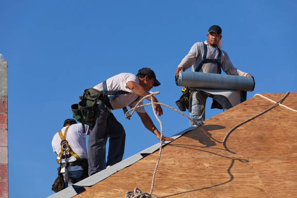 Best Roof Maintenance Services  in Hendron, KY